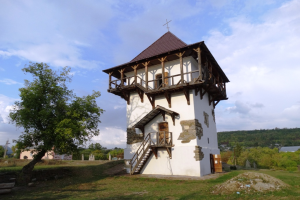 Заповідник Буша